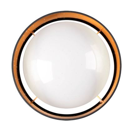 LED Ceiling light TULUZA LED/24W/230V d. 40 cm black