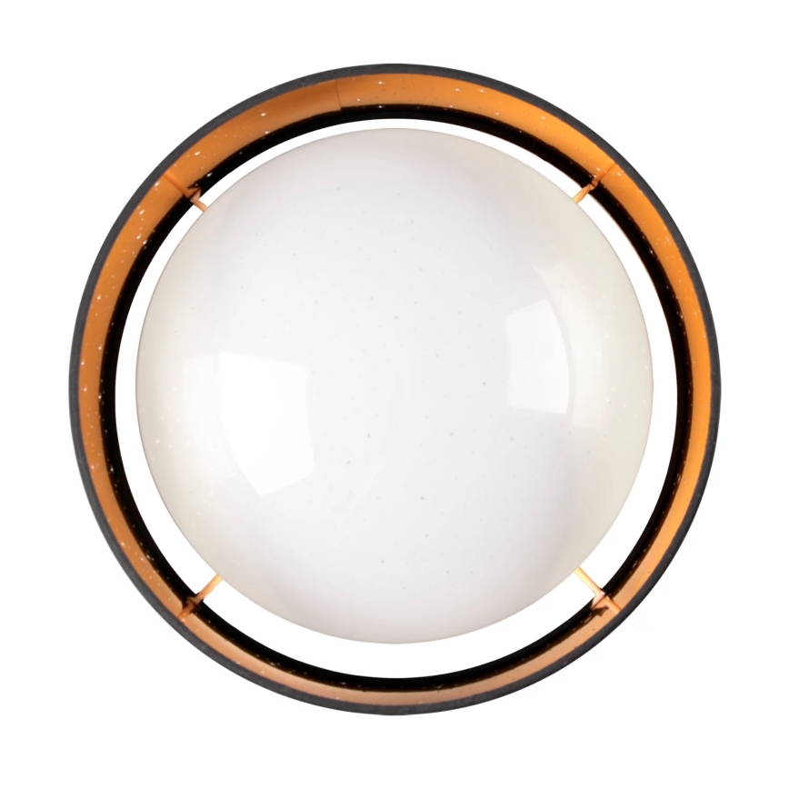 LED Ceiling light TULUZA LED/24W/230V d. 40 cm black