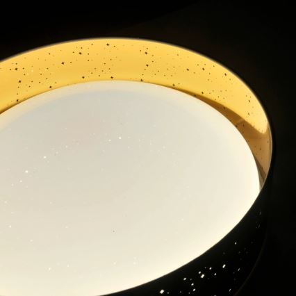 LED Ceiling light TULUZA LED/24W/230V d. 40 cm black