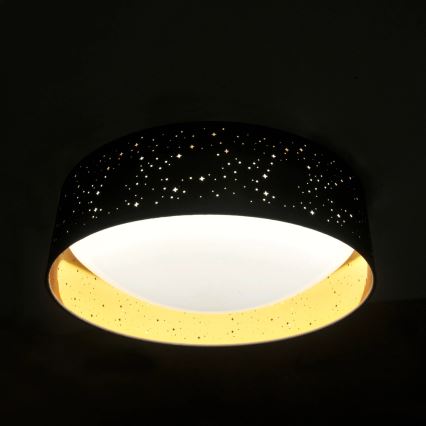LED Ceiling light TULUZA LED/24W/230V d. 40 cm black