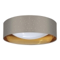 LED Ceiling light TULUZA LED/24W/230V d. 40 cm brown