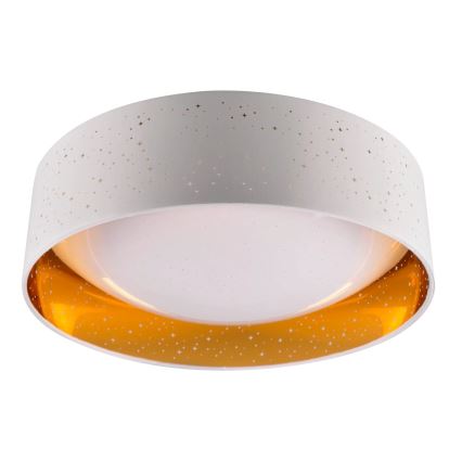 LED Ceiling light TULUZA LED/24W/230V d. 40 cm white