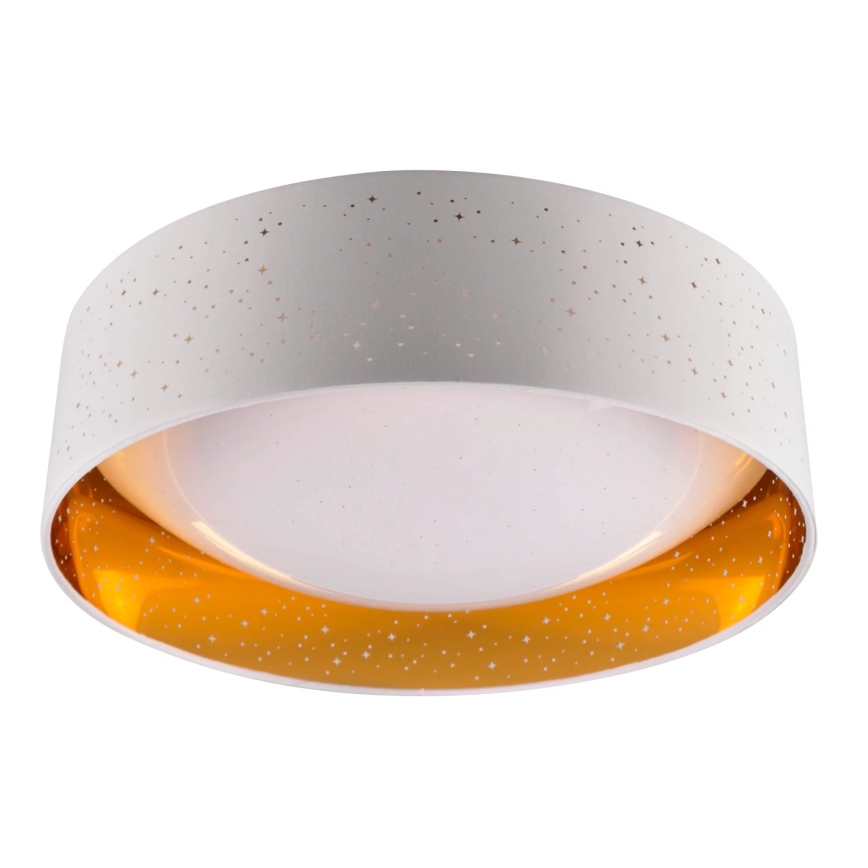 LED Ceiling light TULUZA LED/24W/230V d. 40 cm white