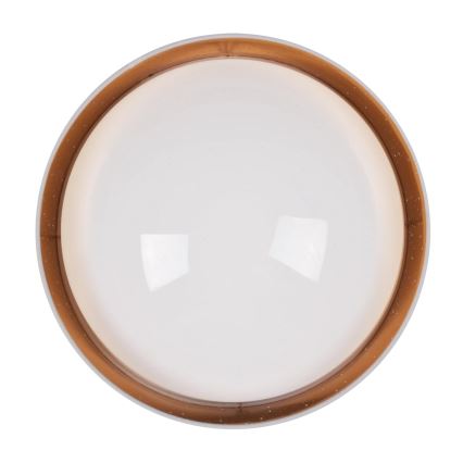LED Ceiling light TULUZA LED/24W/230V d. 40 cm white