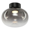 LED Ceiling light VASO LED/4W/230V d. 18 cm black/smoky