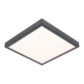 LED Ceiling light VITALI LED/24W/230V