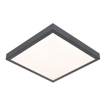 LED Ceiling light VITALI LED/24W/230V