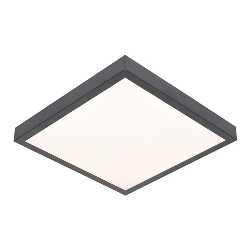 LED Ceiling light VITALI LED/24W/230V