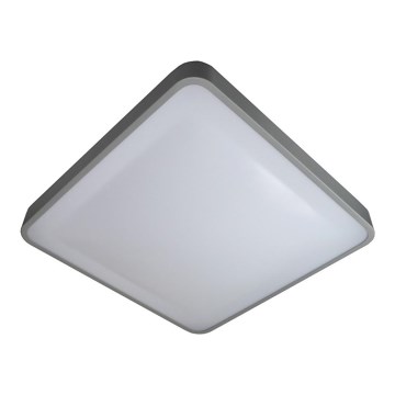 LED Ceiling light WILTON LED/24W/230V 37,5x37,5 cm grey