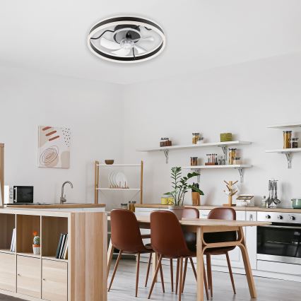 LED Dimmable ceiling light with a fan APOLLO LED/38W/230V black + remote control