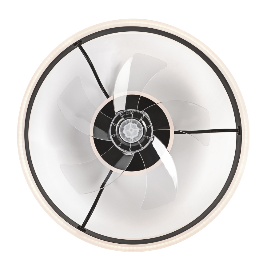LED Dimmable ceiling light with a fan APOLLO LED/38W/230V black + remote control