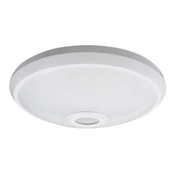 LED Ceiling light with a sensor LED/12W/230V