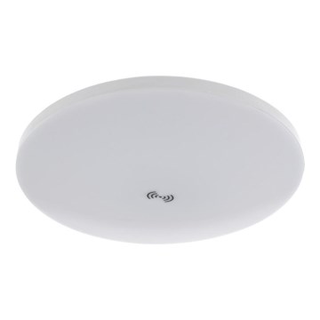 LED ceiling light with dusk and motion sensor MORETTI LED/24W/230V Ø 30 cm IP40 6500K