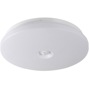 LED Ceiling Light with Motion and Dusk Sensor FOGLER LED/24W/230V Ø 38 cm