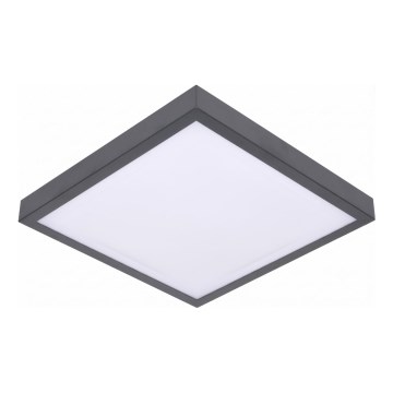 LED ceiling light with motion and dusk sensor VITALI LED/24W/230V 4000K 33x33 cm anthracite