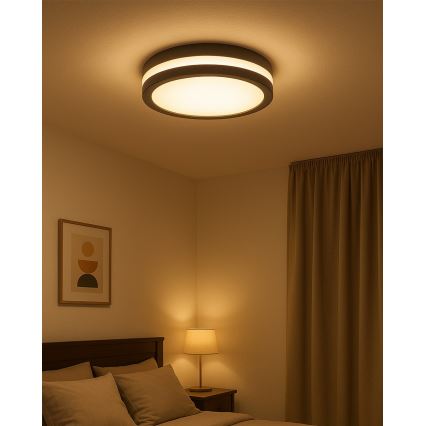 LED Bathroom Ceiling Light with Motion Sensor LED/20W/230V 3000/4000/6500K Ø 23 cm IP54 Anthracite