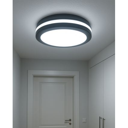 LED ceiling light with motion sensor LED/20W/230V 3000/4000/6500K Ø 230 cm IP54 anthracite