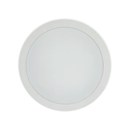 LED Ceiling Light with Motion Sensor — 20W, 230V; Selectable 3000/4000/6500 K; Ø 230 cm; IP54; Grey