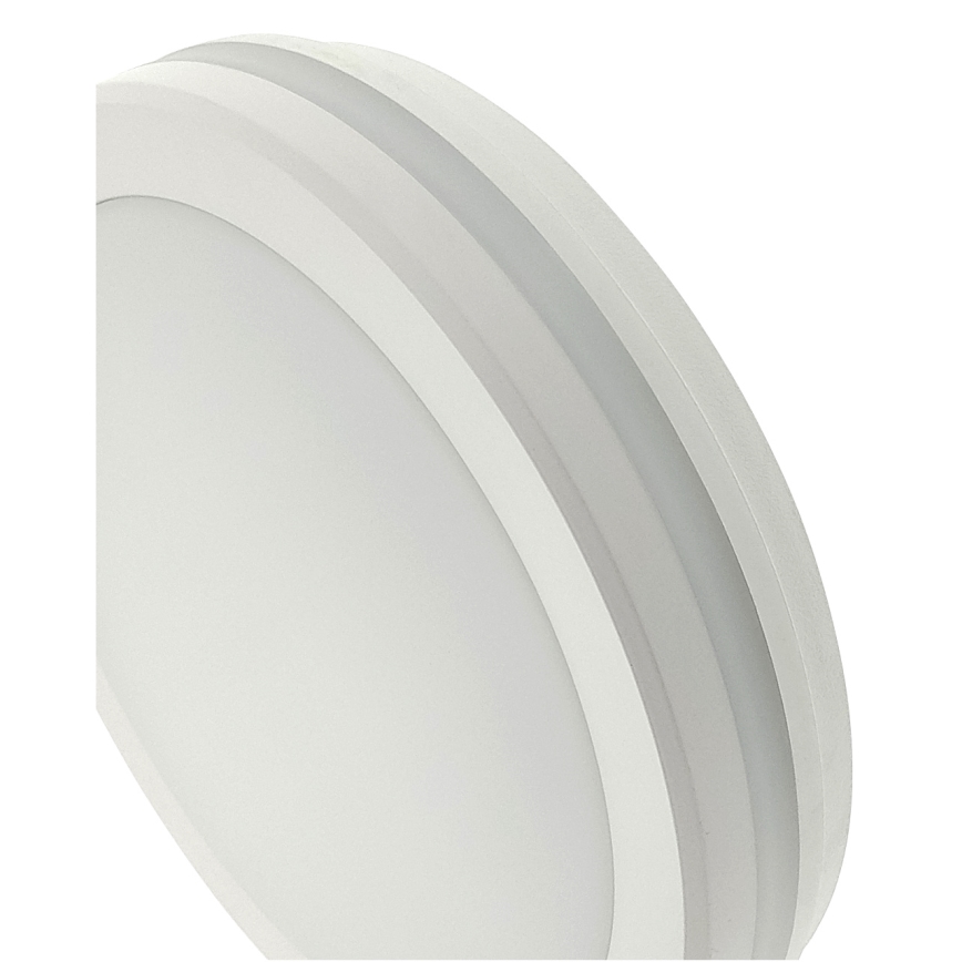 LED Ceiling Light with Motion Sensor — 20W, 230V; Selectable 3000/4000/6500 K; Ø 230 cm; IP54; Grey