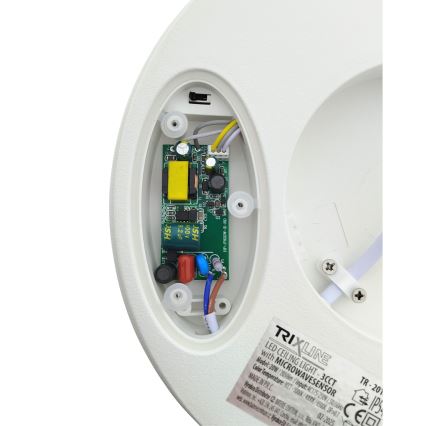 LED Ceiling Light with Motion Sensor — 20W, 230V; Selectable 3000/4000/6500 K; Ø 230 cm; IP54; Grey