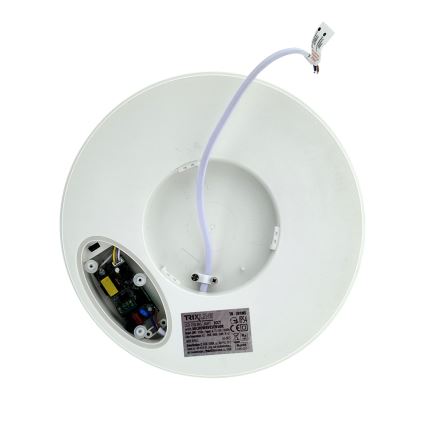 LED Ceiling Light with Motion Sensor — 20W, 230V; Selectable 3000/4000/6500 K; Ø 230 cm; IP54; Grey
