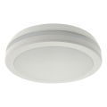 LED Ceiling Light with Motion Sensor — 20W, 230V; Selectable 3000/4000/6500 K; Ø 230 cm; IP54; Grey