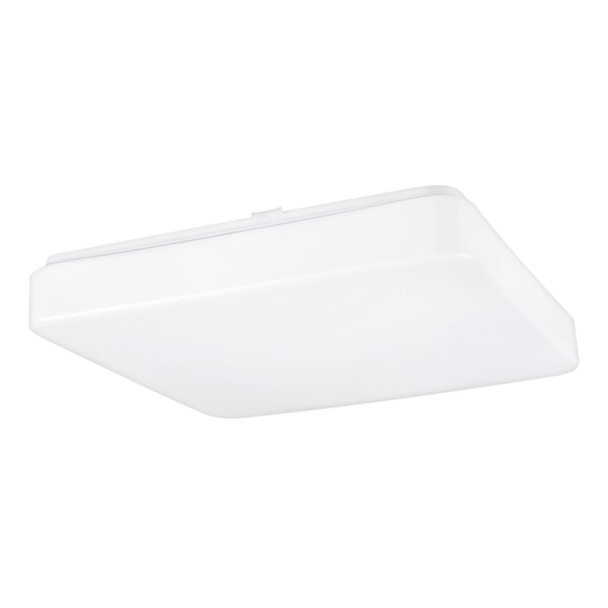 LED Ceiling light with sensor DAISY NAL LED/18W/230V 4000K