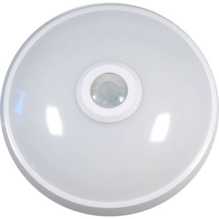 LED Ceiling Light with Motion and Dusk Sensor LED/12W/230V