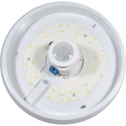 LED Ceiling Light with Motion and Dusk Sensor LED/12W/230V