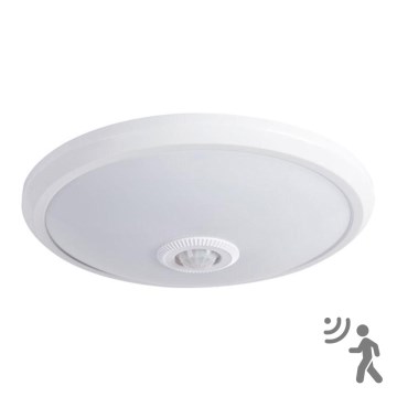 LED ceiling light with sensor LED/14W/230V 4000K