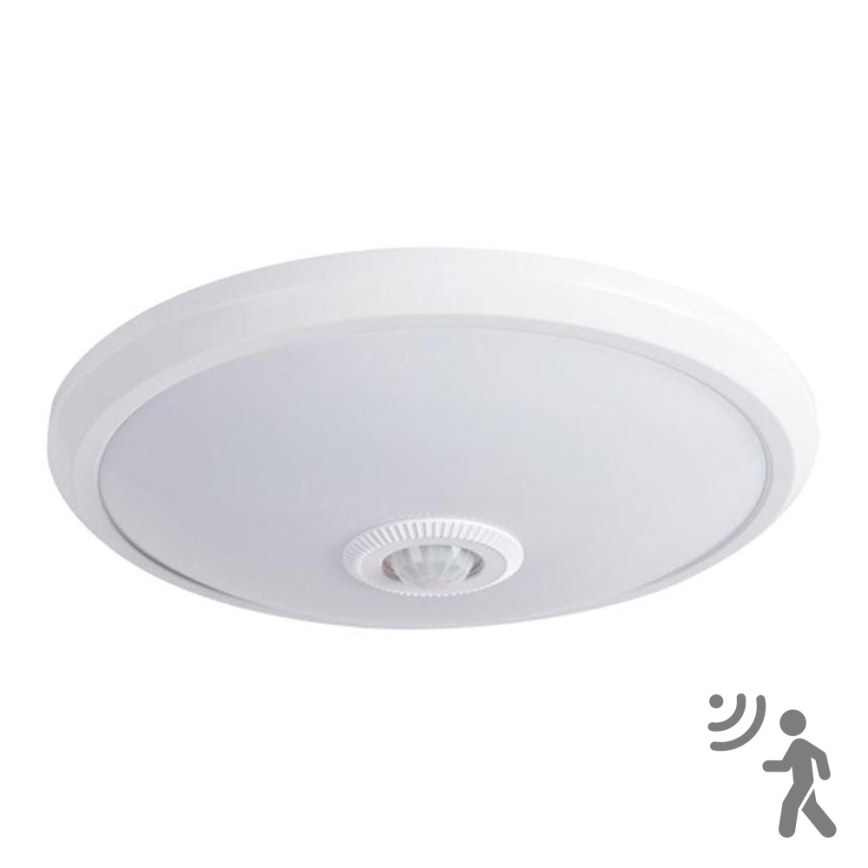 LED ceiling light with sensor LED/14W/230V 4000K
