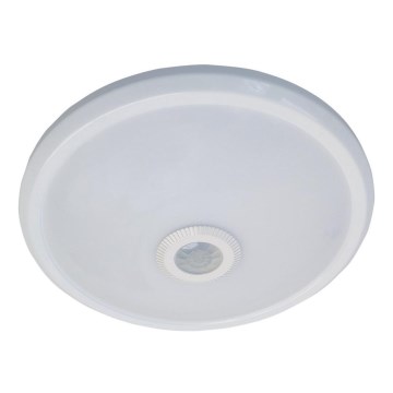 LED Ceiling light with sensor LED/16W/230V