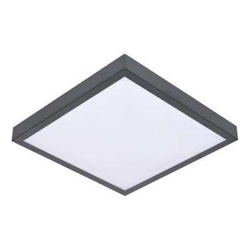 LED Ceiling light with sensor VITALI LED/24W/230V 4000K