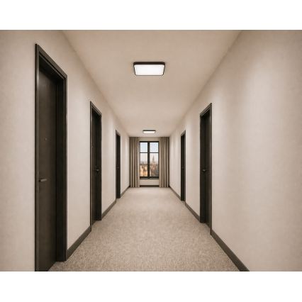 LED ceiling light with motion and dusk sensor – WILTON, 24W/230V, 4000K, 33×33 cm, black