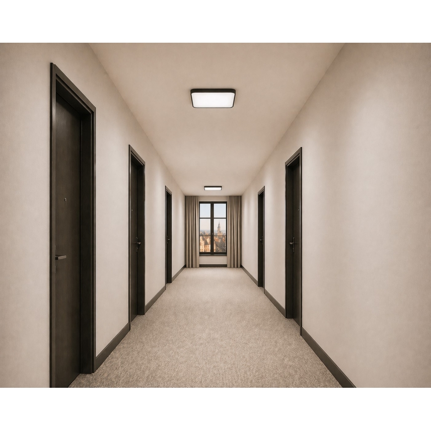 LED ceiling light with motion and dusk sensor – WILTON, 24W/230V, 4000K, 33×33 cm, black