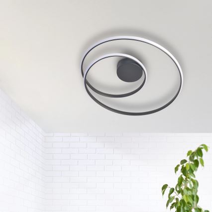 LED Ceiling light ZEFIRA LED/40W/230V 4000K d. 50 cm anthracite
