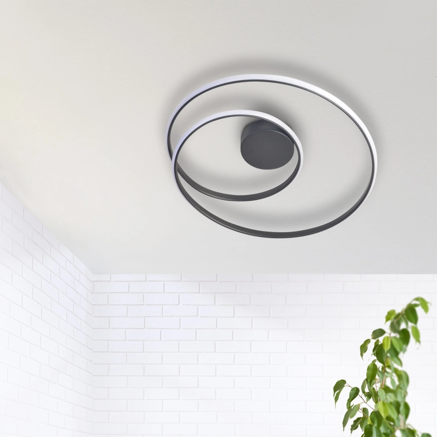 LED Ceiling light ZEFIRA LED/40W/230V 4000K d. 50 cm anthracite