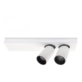 LED ceiling spotlight BERGEN 2xLED/11W/230V