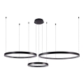 LED Chandelier on a string 3xLED/19W/230V 3000K black