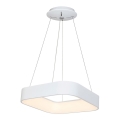 LED chandelier on a string ASTRO 1xLED/24W/230V