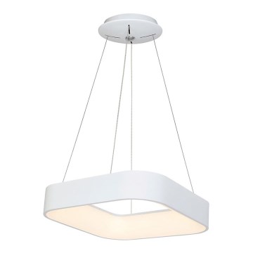 LED chandelier on a string ASTRO 1xLED/24W/230V