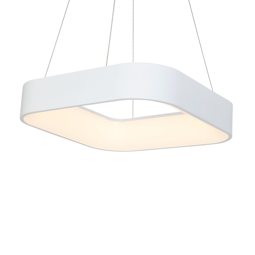 LED chandelier on a string ASTRO 1xLED/24W/230V