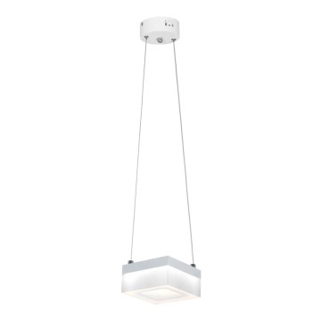 LED chandelier on a string CUBO LED/12W/230V square