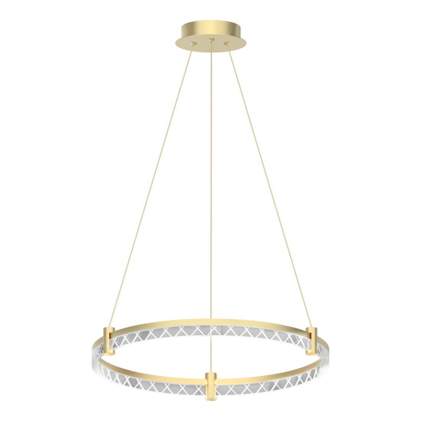 LED Chandelier on a string ELEGANCE LED/36W/230V d. 60 cm gold