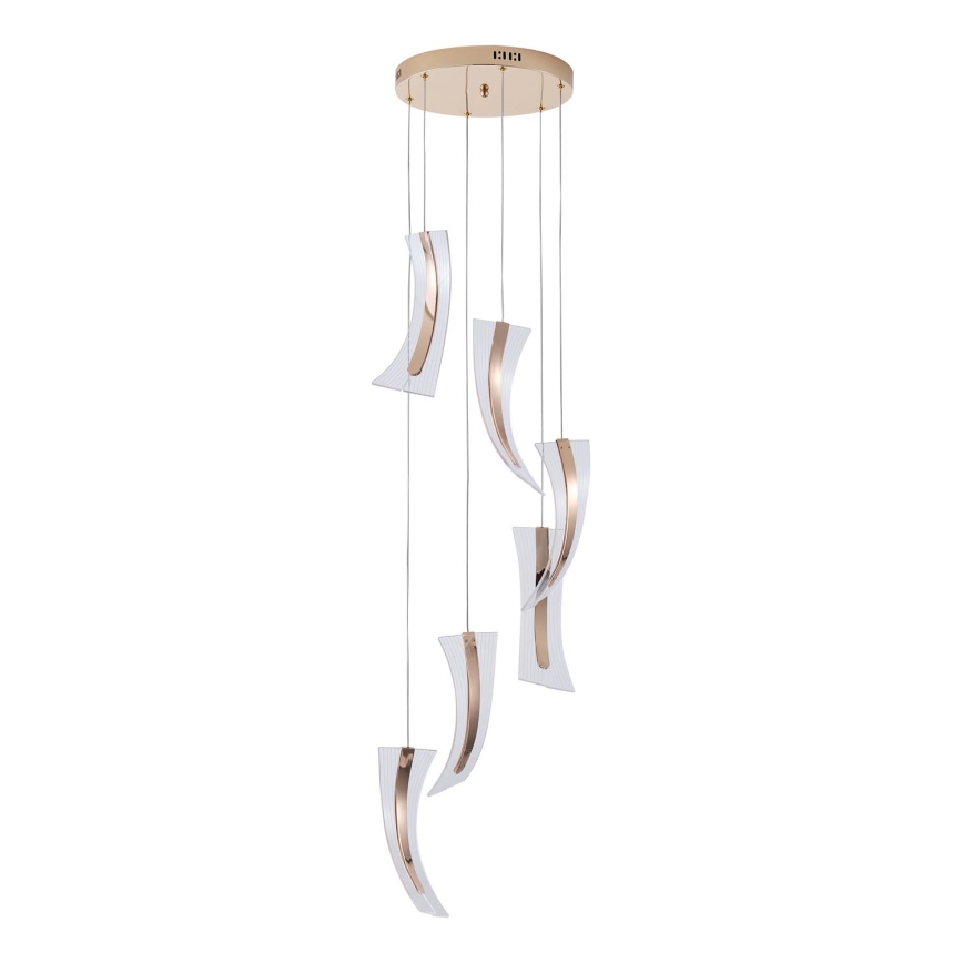 LED Chandelier on a string FIRENZE 6xLED/10W/230V 3000K
