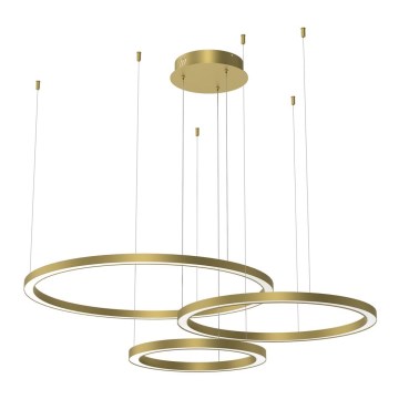 LED Chandelier on a string GALAXIA LED/85W/230V gold