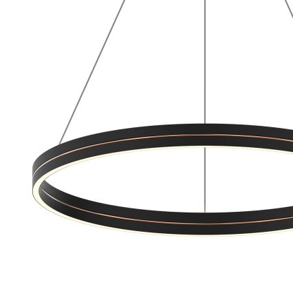 LED Chandelier on a string GRAVITY LED/36W/230V black