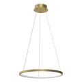 LED Chandelier on a string HOOP LED/27W/230V d. 50 cm 4000K gold