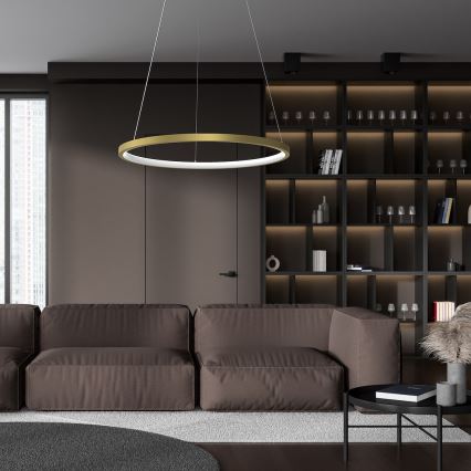 LED Chandelier on a string HOOP LED/27W/230V d. 50 cm 4000K gold
