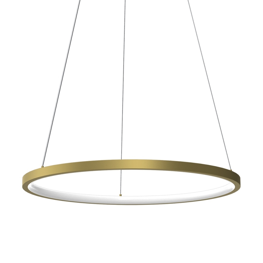LED Chandelier on a string HOOP LED/27W/230V d. 50 cm 4000K gold